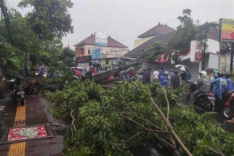 Hujan Deras Guyur Kota Denpasar 14 Titik Jalan Tergenang Dan 4 Pohon