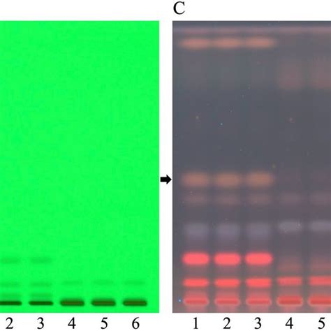 High Performance Thin Layer Chromatography Hptlc Chromatograms Of