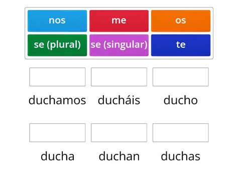 Verbo Ducharse Match Up