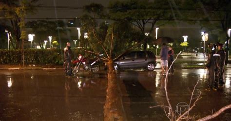 G1 Temporal de sexta em SP derrubou árvores e deixou bairros sem