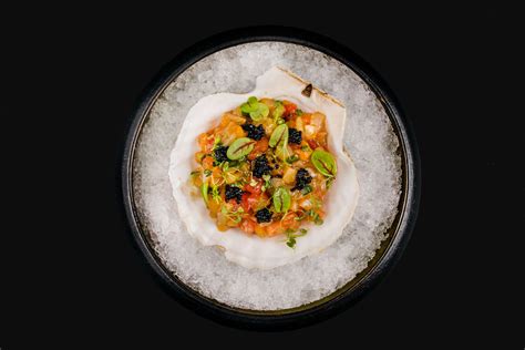 РАКИ И ГАДЫ