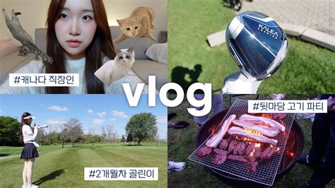 🇨🇦 토론토 일상 Vlog 구력 2개월차 골린이의 토론토 일상 하우스 파티 Eng Youtube