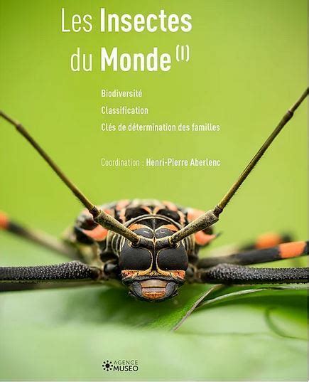 Les Insectes Du Monde Biodiversit E