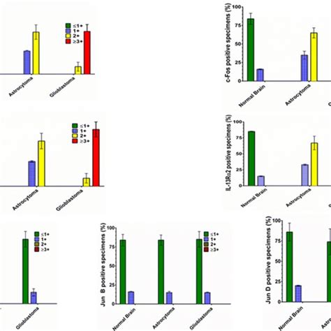 Analysis Of Ap 1 Transcription Factors In Situ Schematic Download Scientific Diagram