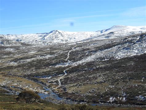 Families Discovering Australia | Brisbane QLD
