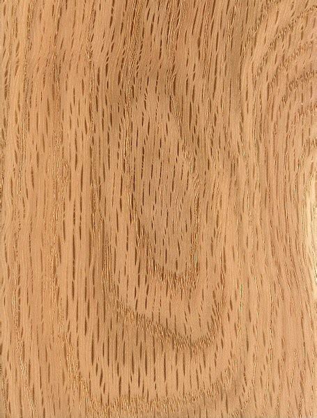 meaning  symbolism   word oak