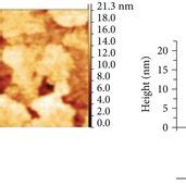 Afm Images And Height Profile Of A Ito B Ito Mwcnt And C Ito