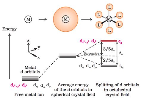 Coordination Compounds - NCERT & CBSE RESOURCES