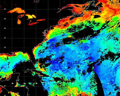 Modis Aqua Level Chlorophyll A Made From Aqua Granules For Oct And