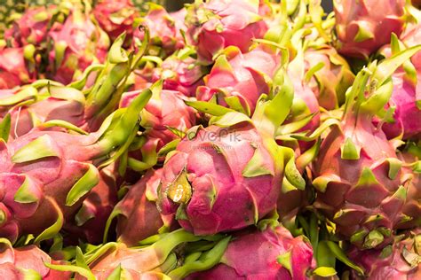 Colorful Fruits Picture And HD Photos | Free Download On Lovepik