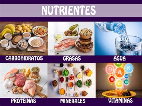 Nutrientes Tipos Importancia Y Sus Funciones Para La Salud Del Cuerpo