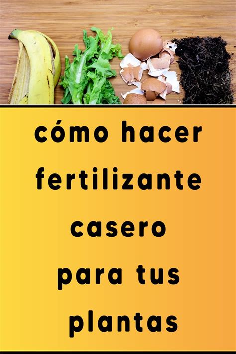 C Mo Hacer Fertilizante Casero Para Tus Plantas Abono Casero