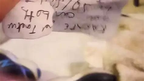 Free Diary Porn Videos XHamster