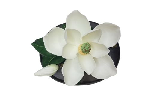 Homco Masterpiece Porcelain Bone China Flower Figurine Magnolia Bloom