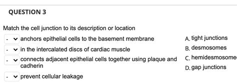Solved QUESTION 3 Match the cell junction to its description | Chegg.com