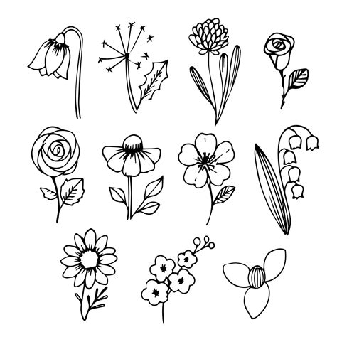 Premium Vector | Flower doodle illustration food doodle illustration