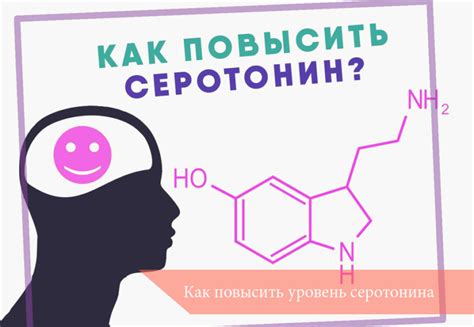 Как повысить уровень серотонина - Proexpress.com.ua