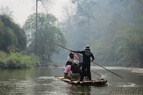 Bamboo Rafting Chiang Mai Thailand Südostasien Philippinen