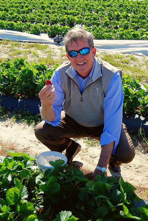 It’s Strawberry Season in South Carolina - South Carolina Department of