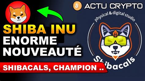 Shiba Inu SHIBACALS une étape de plus vers Shibarium BURN