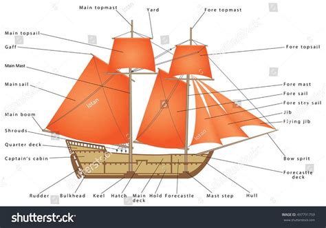 exploring  anatomy   ship  detailed diagram  labels