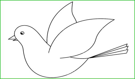 Sketsa Gambar Burung: Hantu, Garuda, Kakak Tua, Merpati, Merak