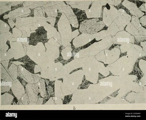 Low Carbon Steel Microstructure