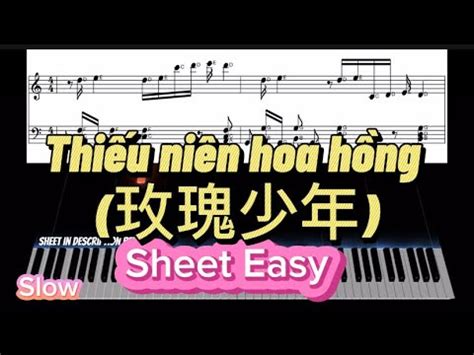 thieu nien hoa hong tutorial piano easy  beginners
