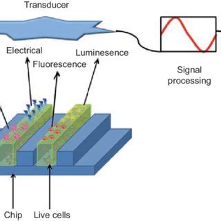 Schematic description of a biochip-based detection system. (See colour ...
