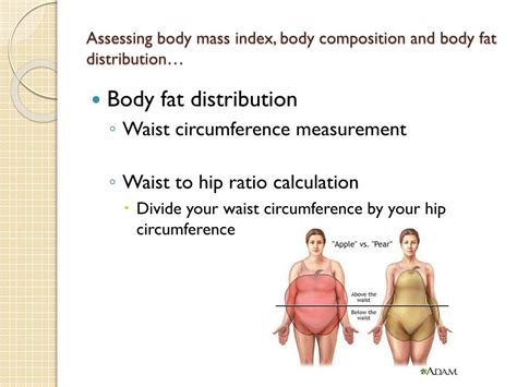 Ppt Body Composition Powerpoint Presentation Free Download Id 1957982