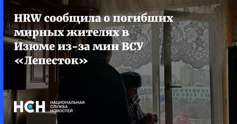 Hrw сообщила о погибших мирных жителях в Изюме из за мин ВСУ «Лепесток