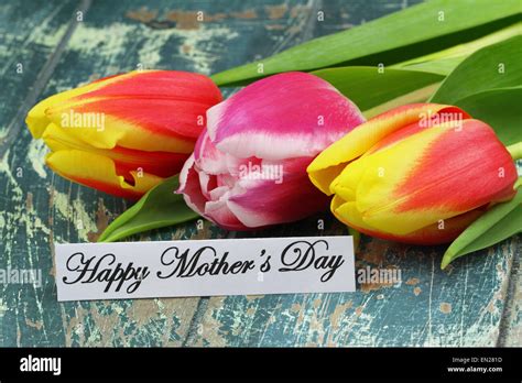 Happy Mother's day card with colorful tulips Stock Photo - Alamy