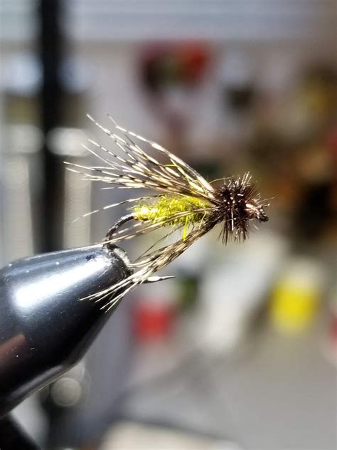 Welcome to the Millers River Fly Fishing Forum : A Good Caddis Fly, A ...