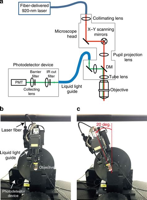 Overview Of The Two Photon Microscope For Head Fixed Marmosets A