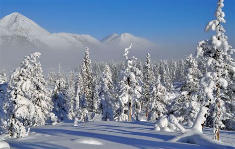 Yakutia Tour - Discover the Ultimate Winter Wonderland | Город ...