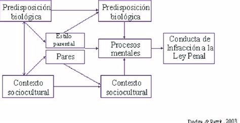 Modelo causal del comportamiento antisocial adolescente Adaptación