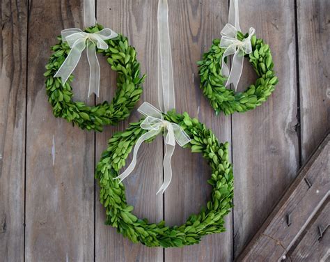 Preserved Boxwood Round Wreaths Set Of Boxwood Wreath Preserved