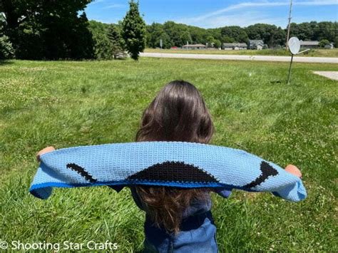 Crochet Loch Ness Monster Scarf Shooting Star Crafts