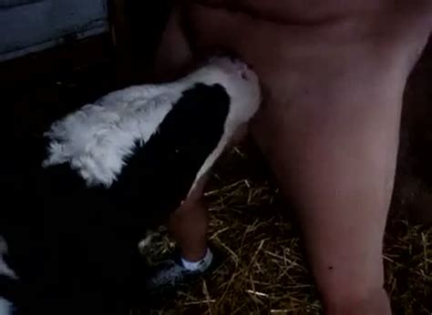 Calf Blowjob Porn Sex Photos