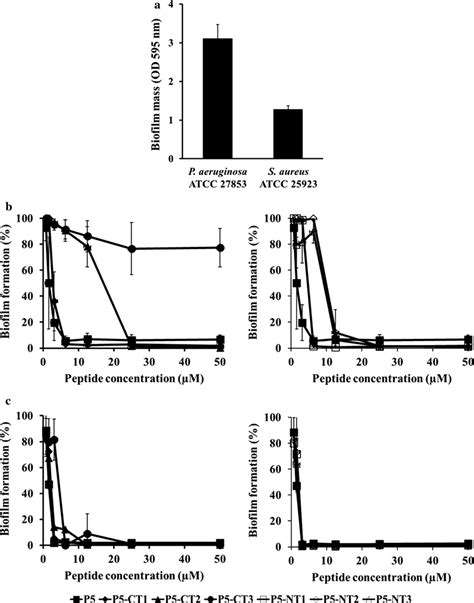 Inhibition Of Bacterial Biofilm Formation By The Parent Peptide And