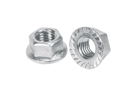 Hexagonal Stainless Steel Flange Nut Size M At Rs Piece In Vadodara