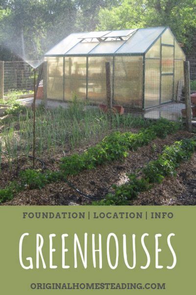 GREENHOUSE GARDENING: For Beginners