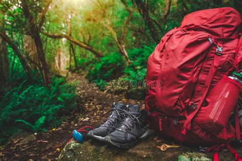 Hiking Gear Set in Jungle of Tasmania, Australia Stock Image - Image of ...