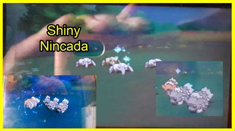 Nincada Shiny 3 Encounter Horde Pokémon Omega Rubí 2phase Youtube