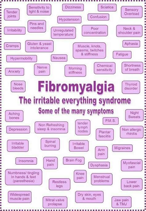 Fibromyalgia The Irritable Everything Fibromyalgia Symptoms Chronic Fatigue Syndrome Symptoms