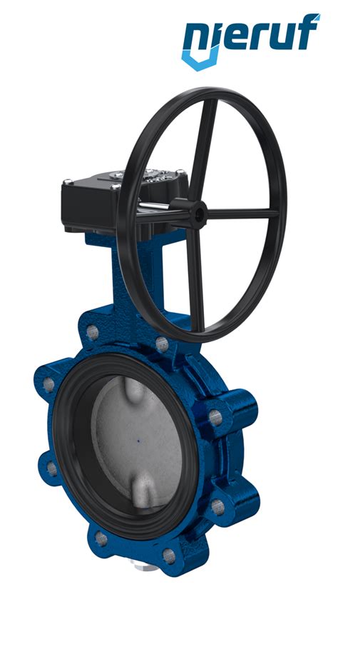 Butterfly Valve DN 100 PN10 PN16 AK02 Worm Gear DVGW Gas