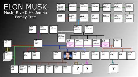 Elon Musk Family Tree : r/elonmusk