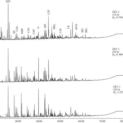 Representative Total Ion Chromatograms Of The Aromatic Hydrocarbon