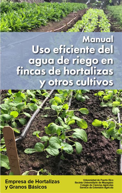 Manual Uso Eficiente Del Agua De Riego En Fincas De Hortalizas Y Otros