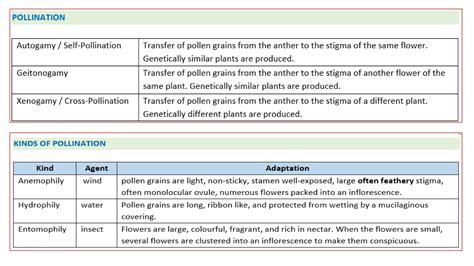 Flow Charts Xii Sexual Reproduction In Flowering Plants Pptx